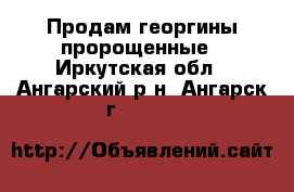 Продам георгины пророщенные - Иркутская обл., Ангарский р-н, Ангарск г.  »    